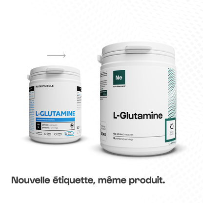 Glutamine (L-Glutamine) en gélules