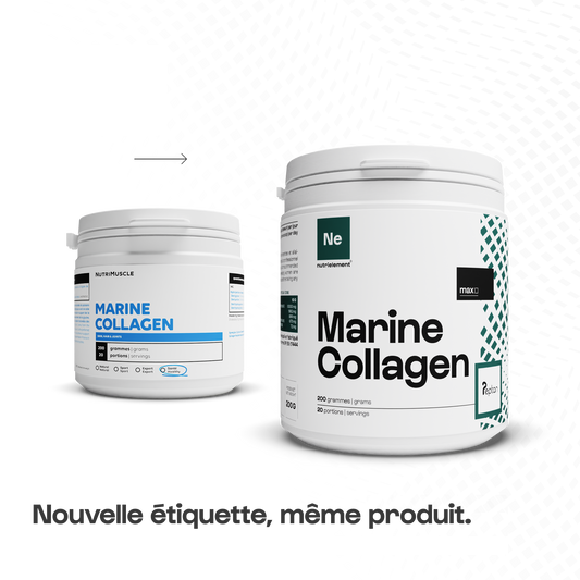 Collagène Marin Peptan® 1 en poudre